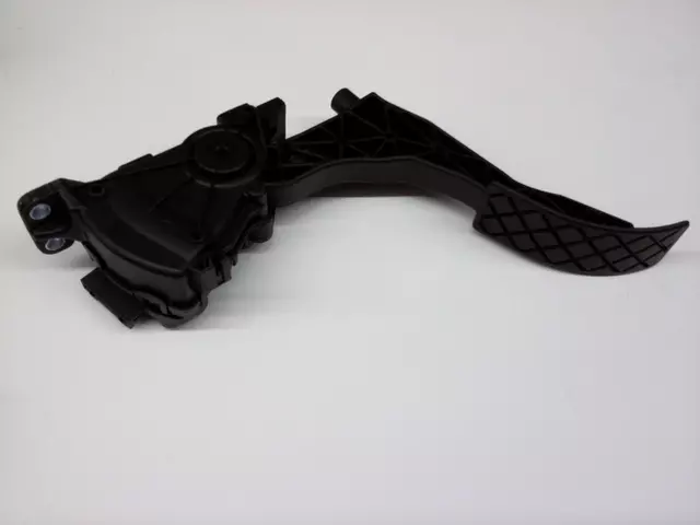 Throttle Control Module