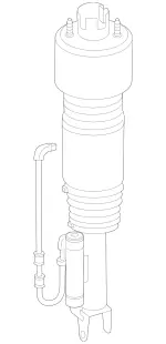 Air Spring Strut