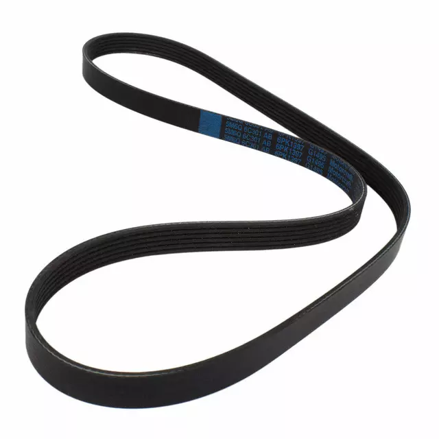 2005-2009 Ford Serpentine Belt 5M6Z-8620-A | OEM Parts Online