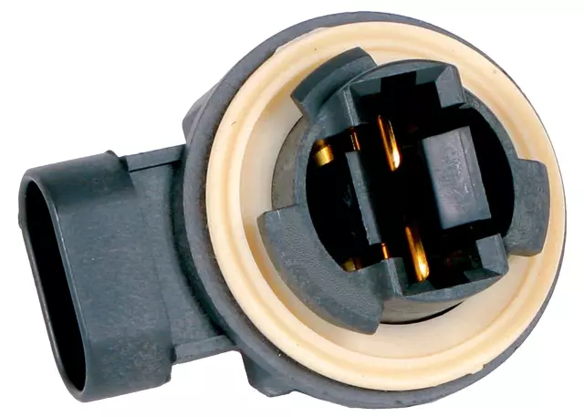 Turn Signal and Parking Lamp Socket
