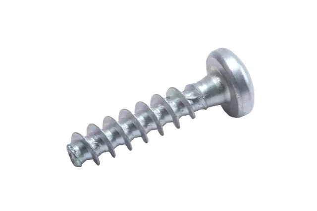Pull Strap Screw