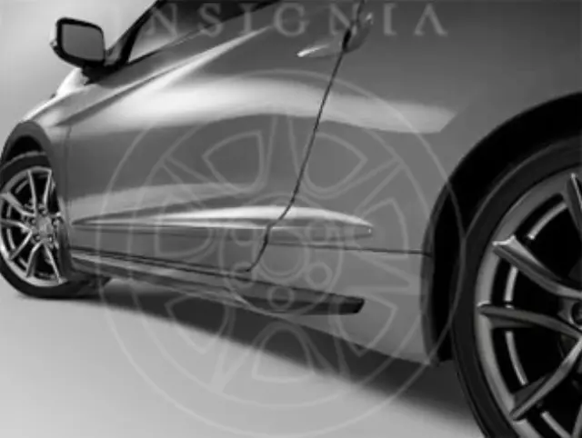 Body Side Molding - Storm Silver Metallic