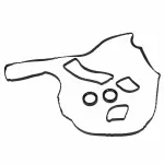 OEM NEW 2012-2021 Ford Focus EcoSport Valve Rocker Cover Gasket CM5Z-6584-A