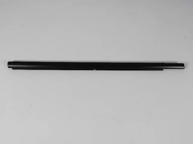 Rear Door Belt Outer Weatherstrip, Right