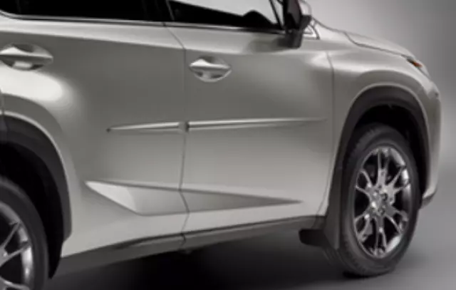 Body Side Moldings - Nebula Gray Pearl