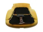 Airbag Front Passenger Presence Module