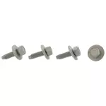 Hinge Bolt