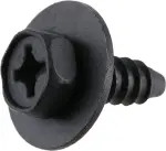 Bumper Cover Screw