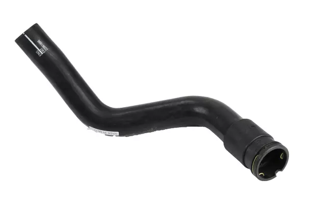 Radiator Outlet Hose