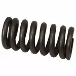 2003-2010 Ford Valve Springs
