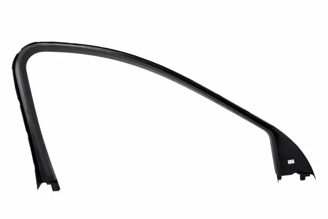 Passenger Side Front Door Window Garnish Molding