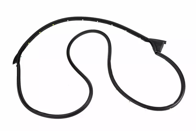 Passenger Side Front Door Weatherstrip