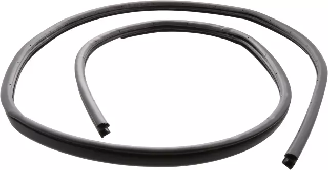 Weather-Strip On Body