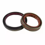 Input Shaft Seal