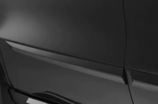 Body Side Molding - Forest Mist Metallic