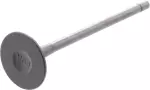 Exhaust Valve