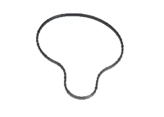 Water Pump Cover Gasket