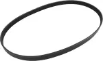 Serpentine Belt