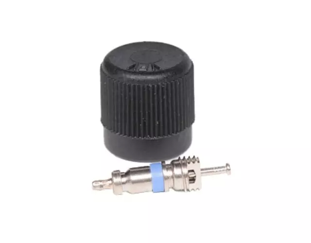 Fuel Injection Fuel Pressure Service Kit with Valve and Cap