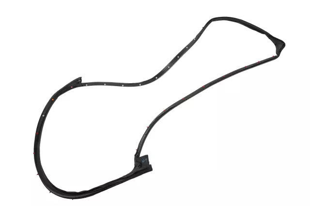 Front Passenger Side Door Weatherstrip
