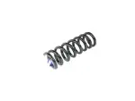 Rear Coil Spring, Left