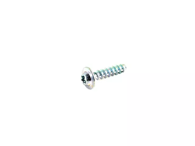 Window Motor Screw