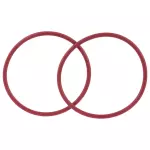 Filter Assembly Gasket