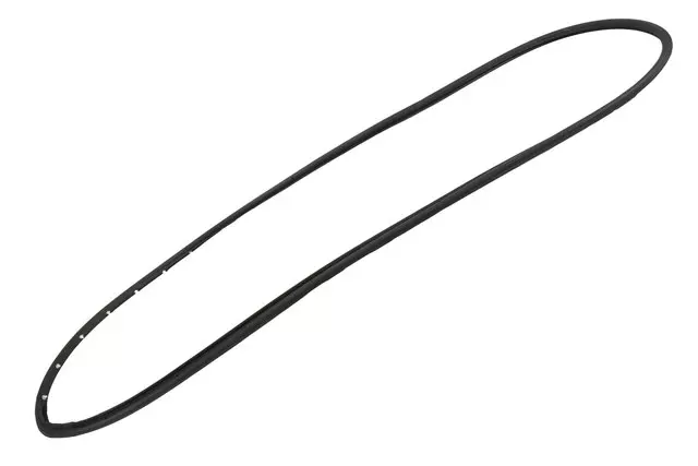 Driver Side Door Weatherstrip