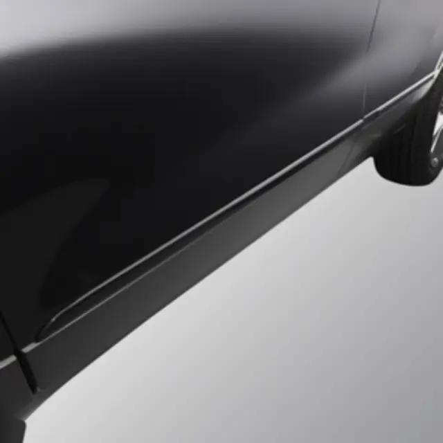 Exterior Trim, Bodyside Molding - GM (95476872)
