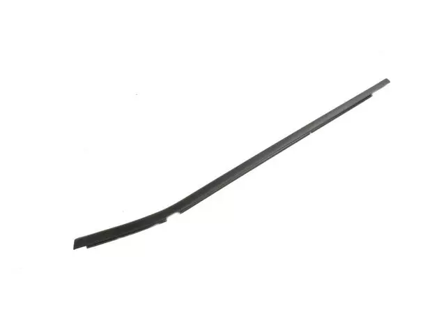 Front Door Belt Weatherstrip, Left