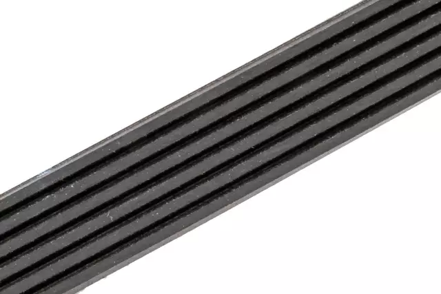 Serpentine Belt