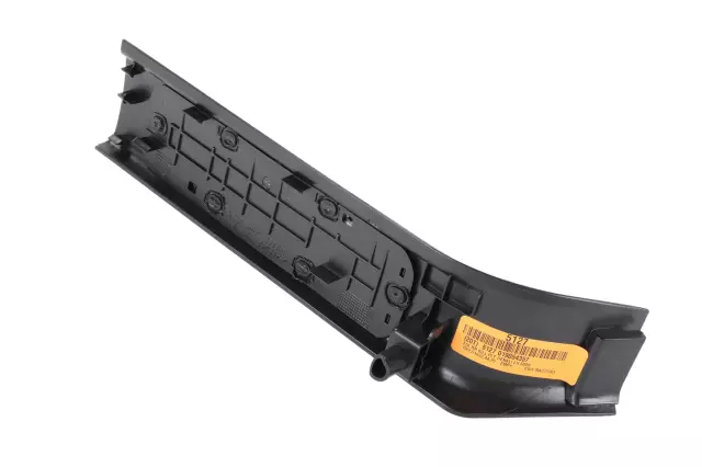 Jet Black Rear Driver Side Door Sill Garnish Molding