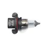 Headlamp Bulb, Right & Left