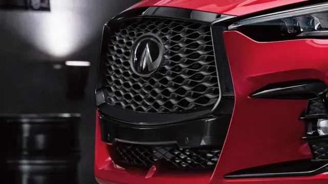 Grille 2022-2024 INFINITI QX55 (T99G7-5VG1A) Image