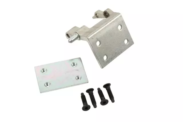 Hinge Kit,Rr S/D (Dr Si)