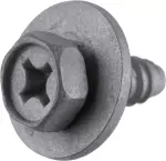 Bumper Cover Screw