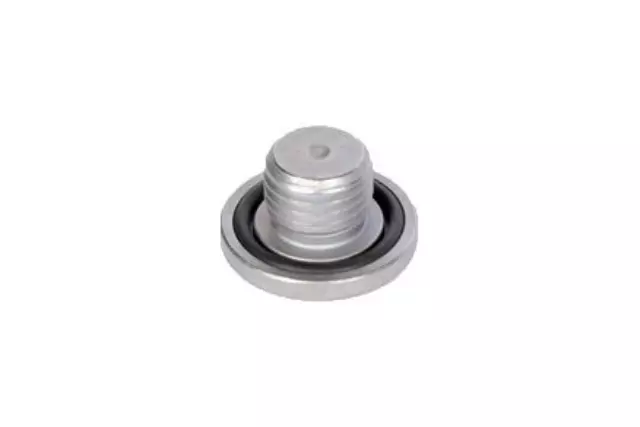 Multi-Purpose Drain Plug