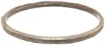 Catalytic Converter Gasket
