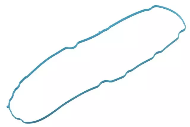 Rear Transfer Case Extension Seal