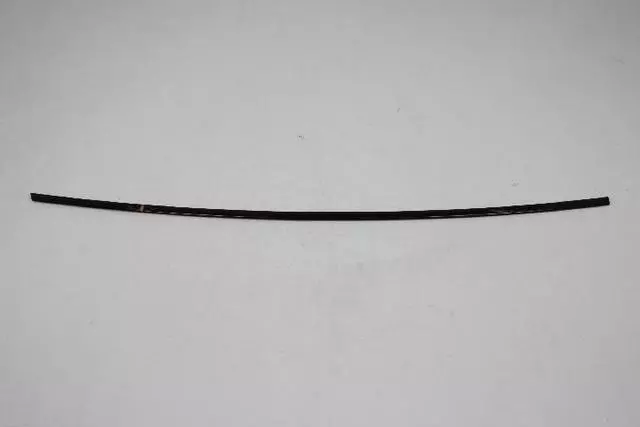 Rear Door Molding, Left