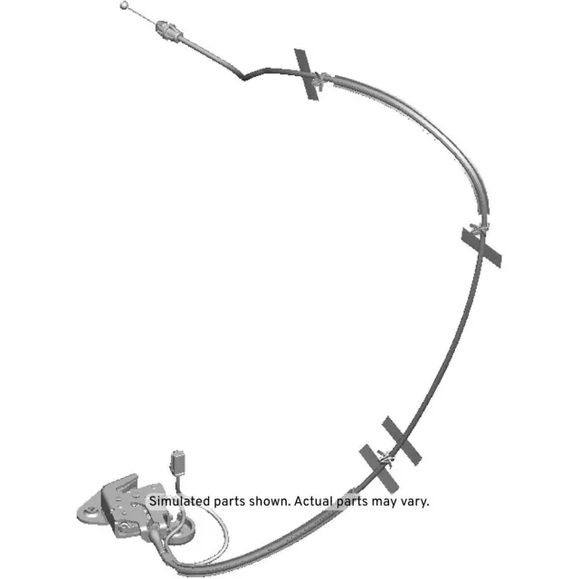 Rear Driver Side Door Lower Latch