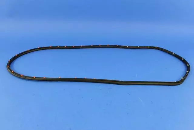 Rear Door Opening Weatherstrip, Left