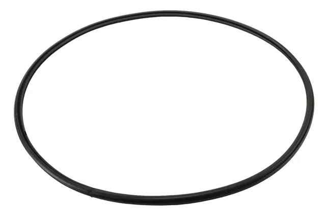 Body Side Front Window Weatherstrip