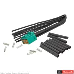 Door Lock Switch Connector 