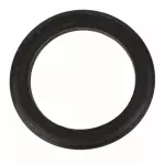 Inlet Pipe Gasket