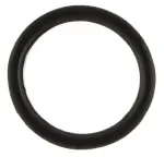 Exhaust Gas Recirculation (EGR) Valve Gasket