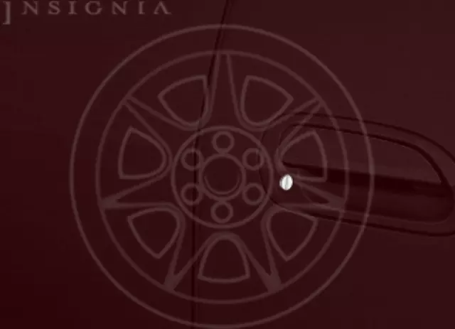 2012 Honda Accord - Door Edge Guards