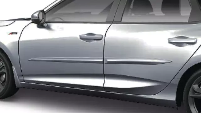 Body Side Molding - Lunar Silver Metallic