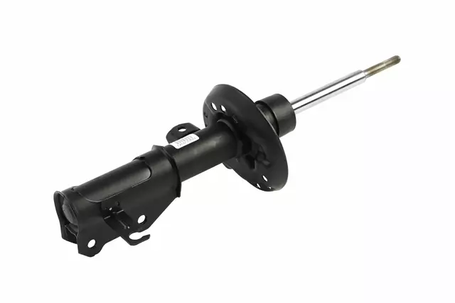 Front Driver Side Suspension Strut