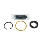 Pitman Shaft Seal Kit